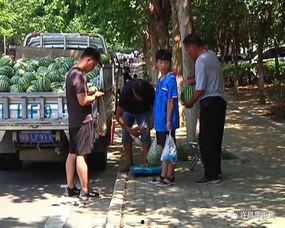 成都疫情下吃瓜群众视频,街边视频记录的市井百态