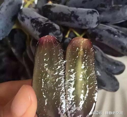 吃蓝宝石瓜能减肥吗视频,真的能助你瘦身成功吗？  第3张