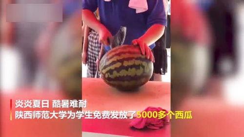 某大学视频吃瓜,一场视频吃瓜引发的校园风云