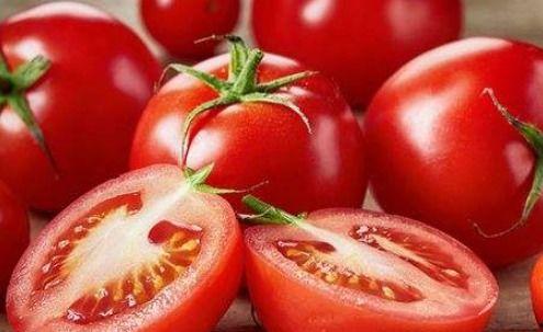 番茄吃茄瓜抖音视频,抖音视频带你领略田园美味