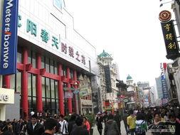 沈阳中街吃瓜事件视频最新,一地瓜引发的热议与反思