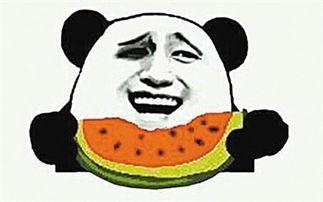 吃瓜小杨爸遛鸟视频下载,吃瓜小杨爸成网络红人