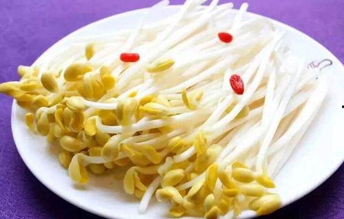 蜜瓜长的豆芽可以吃吗视频,意想不到的食用新发现  第2张