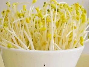 蜜瓜长的豆芽可以吃吗视频,意想不到的食用新发现  第3张