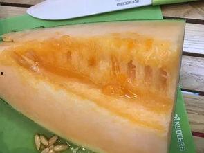 喀什吃伽师瓜视频,甜蜜滋味，视觉盛宴  第3张