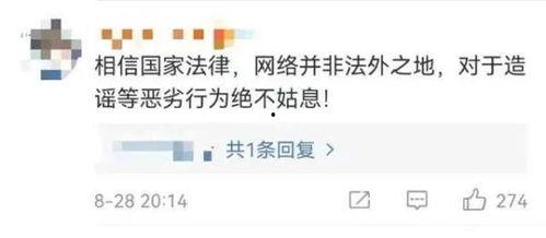 吃瓜不传谣视频大全最新,视频大全带你领略网络舆论真相