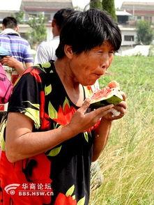 3个老太太吃瓜视频大全,三位老太太的欢乐吃瓜时光  第2张