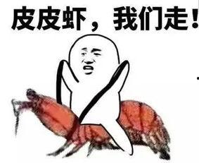 吃瓜事件套路大全视频,跟随视频一探究竟