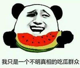 吃瓜事件套路大全视频,跟随视频一探究竟  第3张