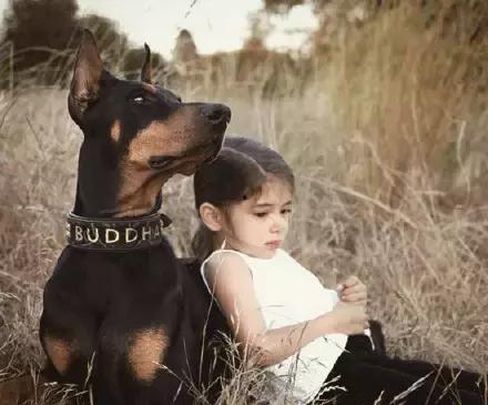 香香公主和爱犬吃瓜视频,香香公主与爱犬共赏吃瓜盛宴  第2张