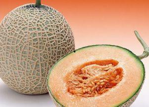 鸟儿可以吃哈密瓜吗视频,哈密瓜在鸟儿餐桌上的地位