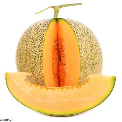 鸟儿可以吃哈密瓜吗视频,哈密瓜在鸟儿餐桌上的地位  第2张