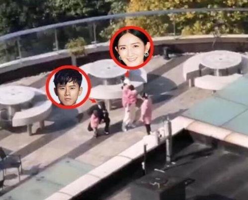 张杰买房吃瓜视频,揭秘明星购房背后的吃瓜故事  第3张