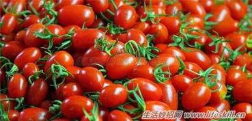 圣女视频吃瓜入口