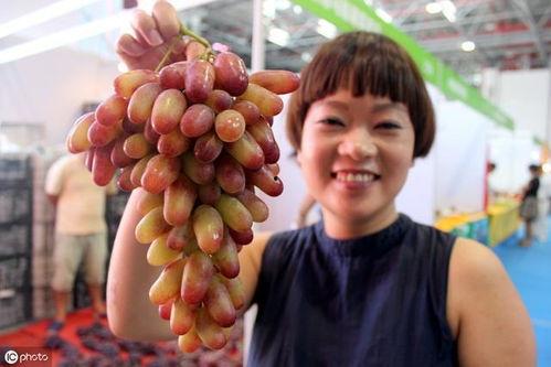 圣女视频吃瓜入口  第2张