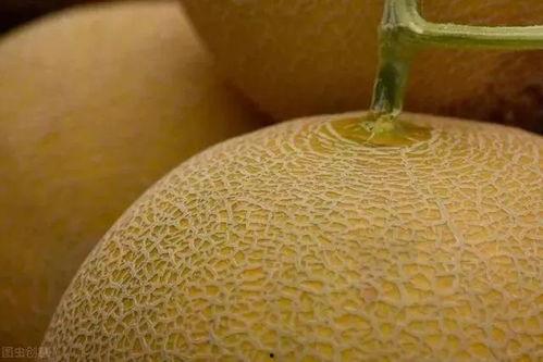 怎么吃哈密瓜更甜呢视频  第2张