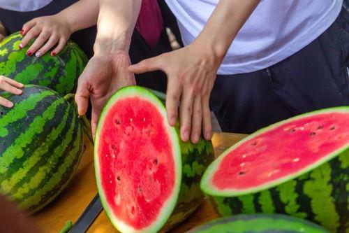 南京学校吃瓜视频,揭秘校园生活幕后趣闻  第2张