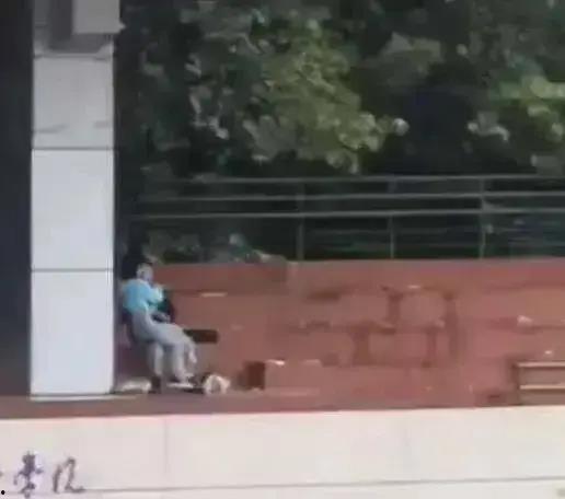 南京学校吃瓜视频,揭秘校园生活幕后趣闻  第3张