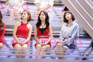 sss女团视频吃瓜,一场关于美食与娱乐的“吃瓜”盛宴  第2张