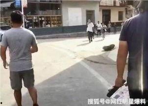 网友吃瓜离婚视频,揭秘明星夫妻离婚内幕  第3张