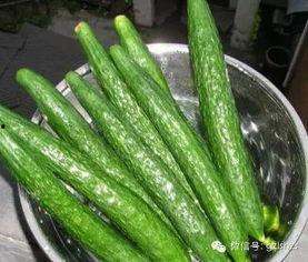 福寿瓜可以晾干吃吗视频,传统食材的创意料理  第3张