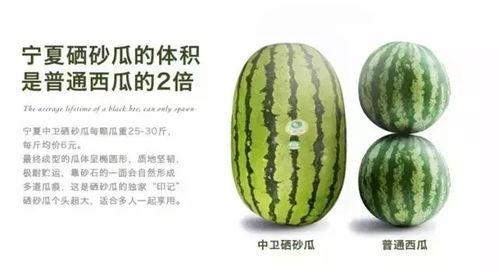 吃硒砂瓜的视频大全播放,视频大全播放背后的甜蜜奥秘  第2张