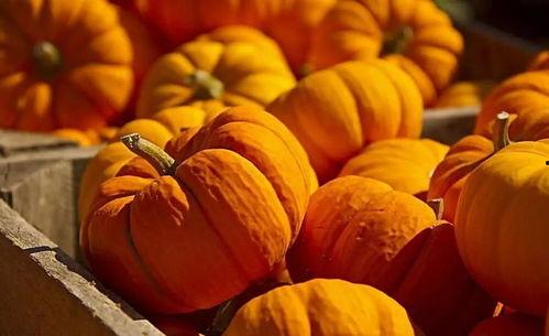 蛋总视频吃瓜,娱乐圈幕后真相大曝光  第3张