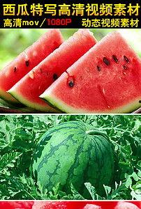 吃瓜包浆视频下载网站,一键获取热门视频，轻松享受娱乐时光  第3张