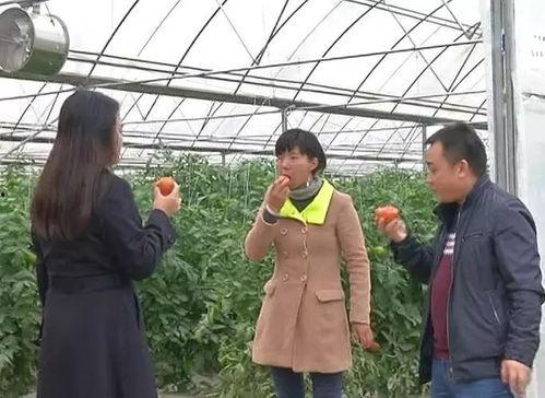 绥阳吃瓜群众是谁啊视频,一场网络视频引发的全民热议