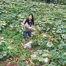 宜宾群众吃瓜视频,欢乐氛围，共享夏日清凉  第3张