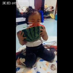 西瓜哥带你吃瓜搞笑视频,搞笑视频盛宴来袭！  第3张