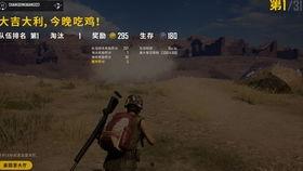 吃鸡瓜的小视频,揭秘游戏背后的趣味与智慧  第2张