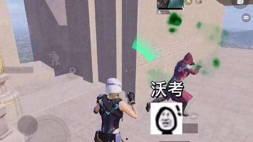 吃鸡瓜的小视频,揭秘游戏背后的趣味与智慧  第3张