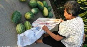 锦华吃瓜最新视频,揭秘娱乐圈最新热点事件  第3张