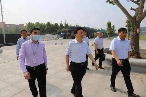 司法大战吃瓜群众视频播放