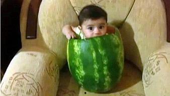 吃大瓜视频配音乐蒙古,吃大瓜视频中的蒙古风情音乐之旅  第3张