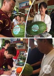 找吃瓜群众视频  第3张