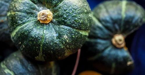 邯郸吃瓜八卦是真的吗视频,揭秘视频背后的真相  第2张