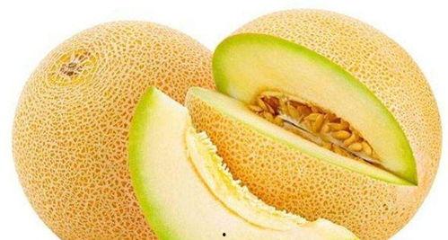 丽哥吃哈密瓜视频大全,甜蜜瞬间大盘点  第3张