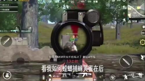 吃鸡的小呆瓜视频,欢乐搞笑，带你领略绝地求生魅力  第2张