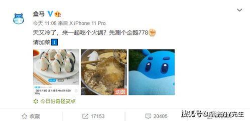 吃瓜企鹅视频,揭秘娱乐圈幕后故事  第3张