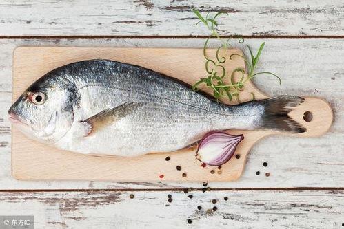 鱼闪闪吃瓜视频大全,趣味横生的娱乐盛宴  第2张