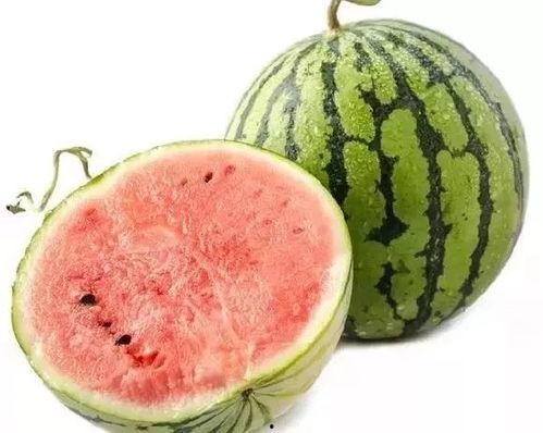 吃小瓜长肉快不快呢视频,吃小瓜真的会长肉吗？揭秘瓜类食物的增肥真相  第3张