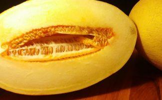 哈密瓜怎么吃更爽呢视频,视频揭秘如何吃得更爽