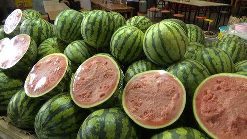 吃两瓜的视频在线观看,在线观看视频，解锁夏日清凉美味  第2张