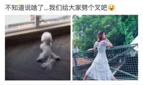 赵丽颖劈叉吃瓜视频大全,萌态百出引网友热议  第3张