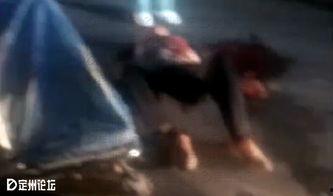 定州西坂吃瓜事件视频,一场引发热议的网络狂欢  第2张