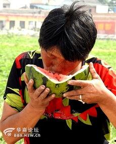 广西吃瓜老太太视频播放,揭秘民间趣味生活瞬间