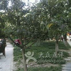 成都沙河公园吃瓜视频,夏日街头一幕引发热议  第2张