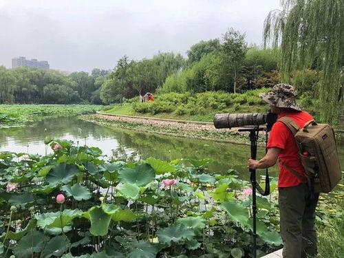 成都沙河公园吃瓜视频,夏日街头一幕引发热议  第3张